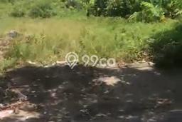 Lahan Kosong Disewakan di Gianyar, Gianyar, Luas 1000m2 Lahan Kosong Disewakan di Gianyar, Gianyar, Luas 1000m2