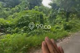 Tanah Kavling di Ubud Gianyar Disewakan dengan Luas 300m2 Tanah Kavling di Ubud Gianyar Disewakan dengan Luas 300m2