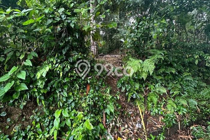 Sewa Tanah Kawasan Ubud, Luas 800m², Lokasi Strategis Sewa Tanah Kawasan Ubud, Luas 800m², Lokasi Strategis