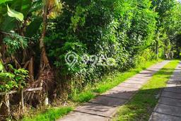 Tanah Dijual Lokasi Ubud Gianyar SHM Tanah Dijual Lokasi Ubud Gianyar SHM