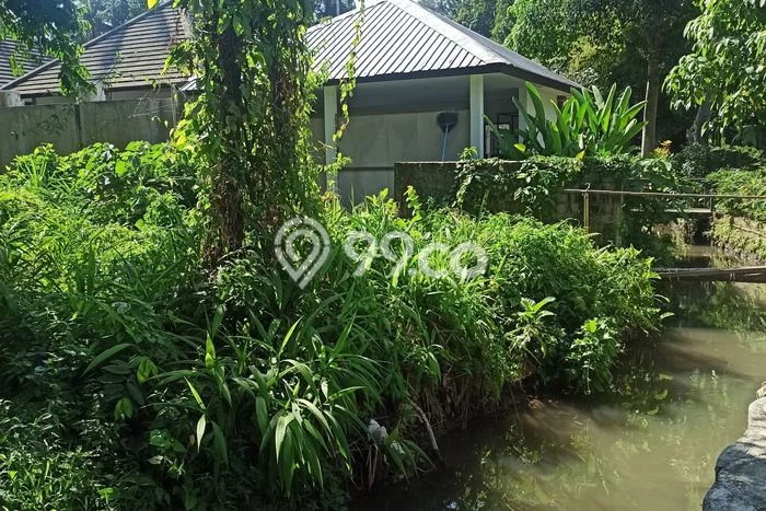 AREA FOR RENT! Tanah Kawasan Ubud, Luas 400m², Lokasi Bisnis AREA FOR RENT! Tanah Kawasan Ubud, Luas 400m², Lokasi Bisnis