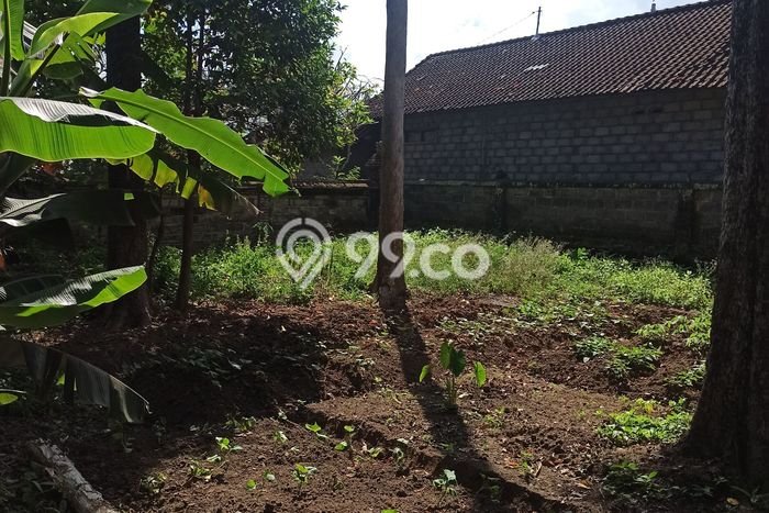 Land Rental Tanah Kawasan Ubud, Luas 500m², Akses Mudah Land Rental Tanah Kawasan Ubud, Luas 500m², Akses Mudah