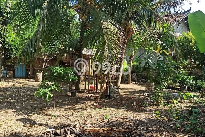Land Rental Tanah Kawasan Ubud, Luas 500m², Akses Mudah Land Rental Tanah Kawasan Ubud, Luas 500m², Akses Mudah
