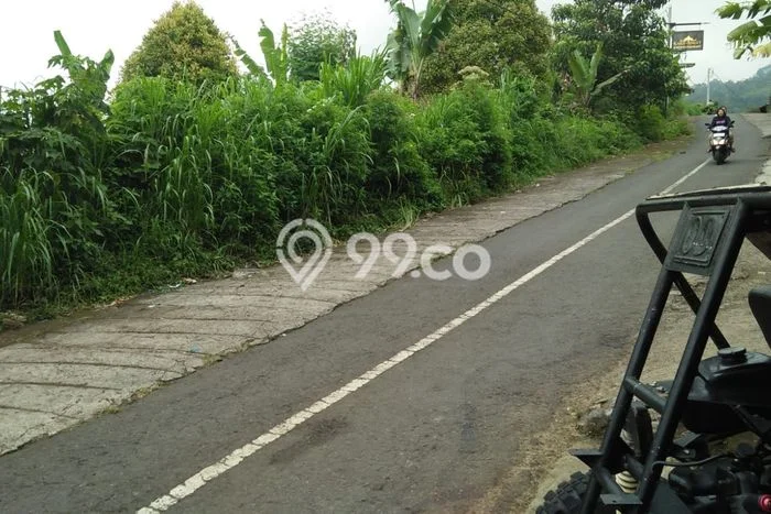 Untuk Dijual Tanah 23000m2 di Munduk, Buleleng Untuk Dijual Tanah 23000m2 di Munduk, Buleleng