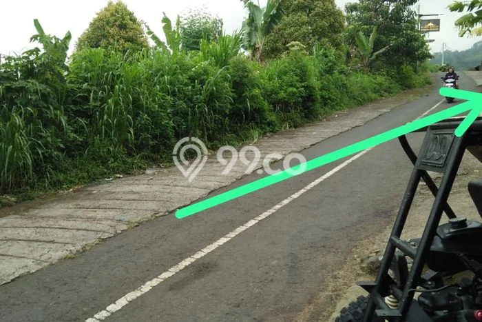 Untuk Dijual Tanah 23000m2 di Munduk, Buleleng Untuk Dijual Tanah 23000m2 di Munduk, Buleleng