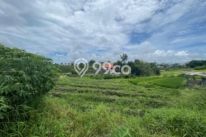 Tanah Lokasi Strategis di Cemagi, Luas 4700m², Ideal untuk Bisnis Tanah Lokasi Strategis di Cemagi, Luas 4700m², Ideal untuk Bisnis