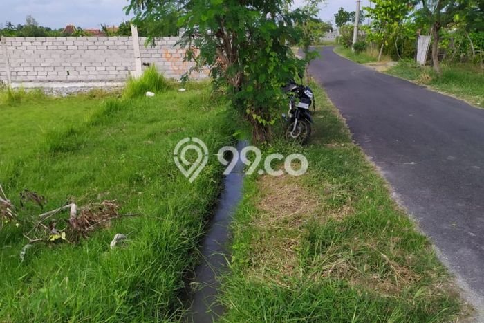 For Sale Tanah Kawasan Pererenan, Luas 425m², Lokasi Berkembang For Sale Tanah Kawasan Pererenan, Luas 425m², Lokasi Berkembang
