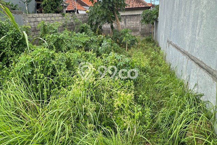 Tanah Kawasan Bisnis Kawasan Ketewel, Luas 100m², Ideal untuk Usaha Tanah Kawasan Bisnis Kawasan Ketewel, Luas 100m², Ideal untuk Usaha
