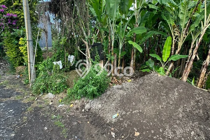 Tanah di Ketewel, Luas 150m², Lokasi Potensial, Kawasan Asri, Bebas Banjir Tanah di Ketewel, Luas 150m², Lokasi Potensial, Kawasan Asri, Bebas Banjir