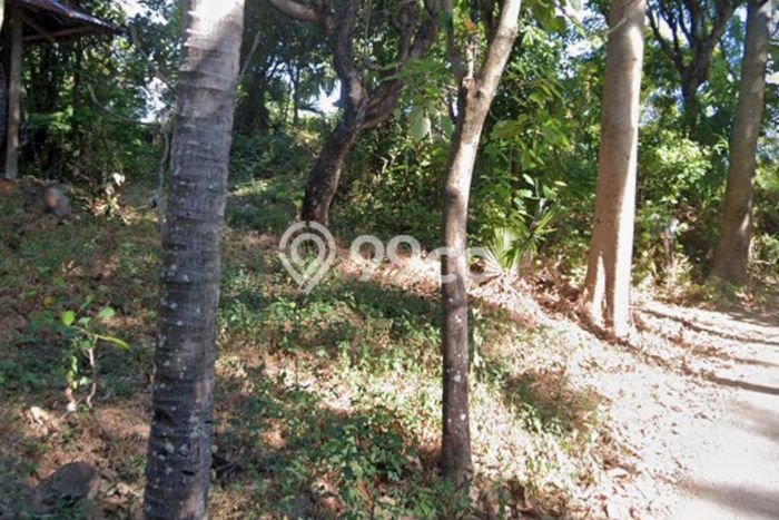 Tanah Dijual Lokasi Tejakula Buleleng SHM Tanah Dijual Lokasi Tejakula Buleleng SHM