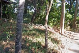 Tanah Dijual Lokasi Tejakula Buleleng SHM Tanah Dijual Lokasi Tejakula Buleleng SHM