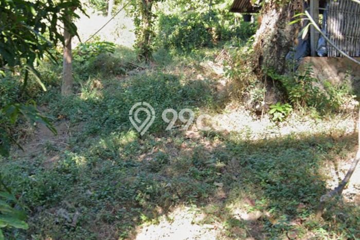Tanah Dijual Lokasi Tejakula Buleleng SHM Tanah Dijual Lokasi Tejakula Buleleng SHM