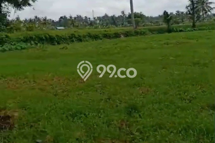 Tanah Potensial Kawasan Ubud, Luas 500m², For Rent Tanah Potensial Kawasan Ubud, Luas 500m², For Rent