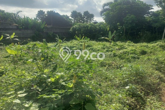 Tanah Potensial Kawasan Ubud, Luas 500m², For Rent Tanah Potensial Kawasan Ubud, Luas 500m², For Rent