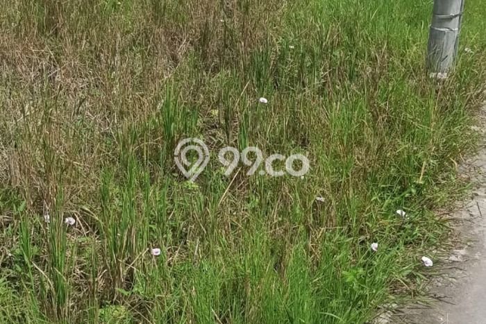 Disewakan Segera Tanah di Ubud Luas 900m2 Area Potensial Disewakan Segera Tanah di Ubud Luas 900m2 Area Potensial
