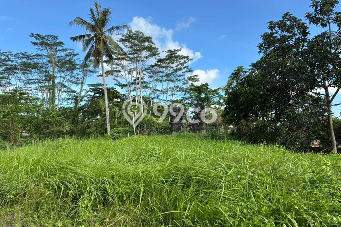 Tanah Strategis Disewakan di Ubud Gianyar Seluas 300m2 Tanah Strategis Disewakan di Ubud Gianyar Seluas 300m2