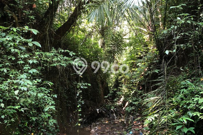 Tanah Investasi Dijual di Gianyar Punya Luas 1700m2 Tanah Investasi Dijual di Gianyar Punya Luas 1700m2