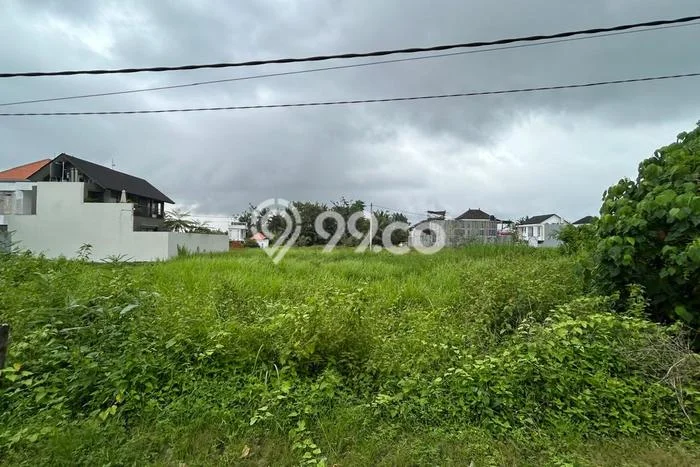 Tanah di Kedungu, Luas 498m², Area Potensial, Lingkungan Nyaman, Kontur Datar Tanah di Kedungu, Luas 498m², Area Potensial, Lingkungan Nyaman, Kontur Datar