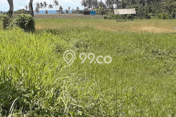 Tanah Siap Bangun Dijual di Tabanan Punya Luas 2100m2 Tanah Siap Bangun Dijual di Tabanan Punya Luas 2100m2