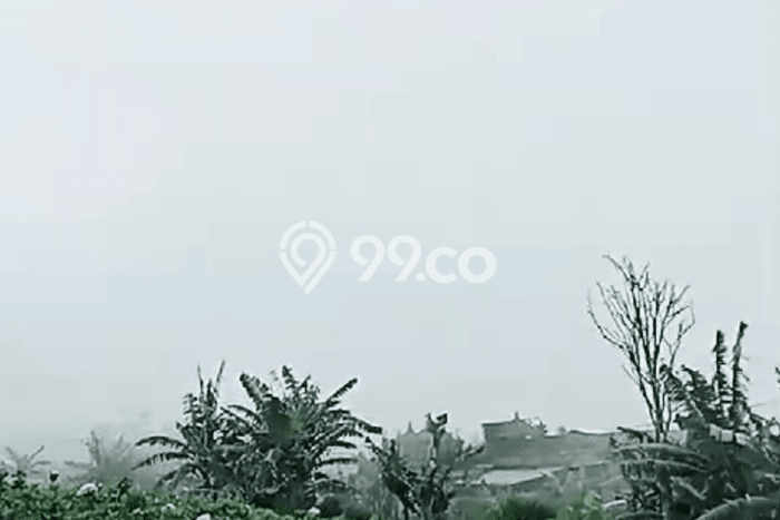 Tanah Kawasan Bedugul, Luas 1100m², Area Potensial Tanah Kawasan Bedugul, Luas 1100m², Area Potensial