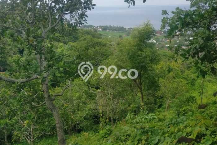Tanah Kavling Dijual di Temukus, Buleleng dengan Luas Tanah 80000m2 Tanah Kavling Dijual di Temukus, Buleleng dengan Luas Tanah 80000m2