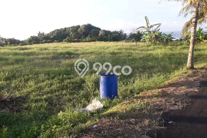 Tanah untuk Disewakan di Selemadeg Tabanan SHM Tanah untuk Disewakan di Selemadeg Tabanan SHM