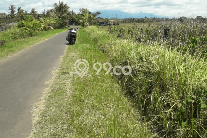 Tanah Siap Bangun Dijual di Tabanan Punya Luas 2100m2 Tanah Siap Bangun Dijual di Tabanan Punya Luas 2100m2