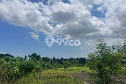 Tanah Disewakan Lokasi Badung Seluas 10500m2 Strategis dan Aman Tanah Disewakan Lokasi Badung Seluas 10500m2 Strategis dan Aman