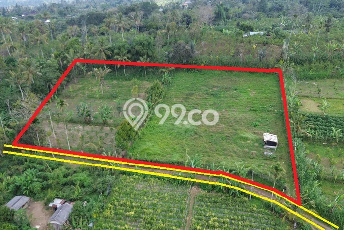 Tanah Kavling Dijual di Tabanan dengan Spesifikasi 5000m2 Tanah Kavling Dijual di Tabanan dengan Spesifikasi 5000m2