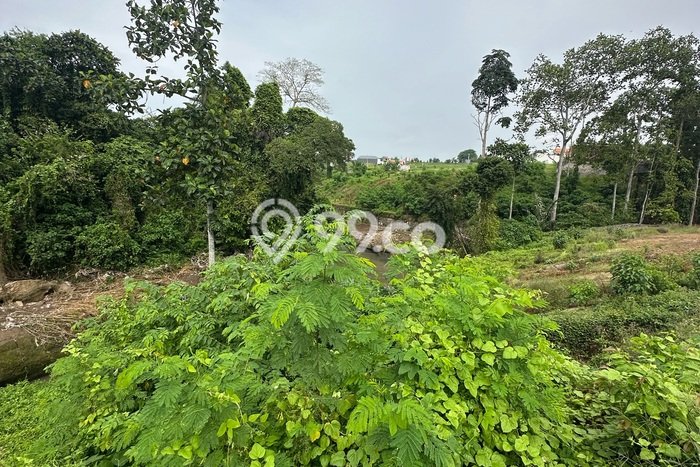 Tanah Kavling Dijual di Kedungu, Tabanan dengan Luas Tanah 200m2 Tanah Kavling Dijual di Kedungu, Tabanan dengan Luas Tanah 200m2