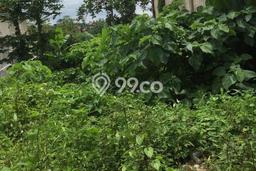 Lahan Kosong Dijual di Gianyar dengan Area 1000m2 Lahan Kosong Dijual di Gianyar dengan Area 1000m2