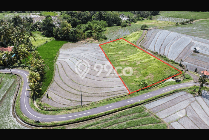 Tanah Kavling Dijual di Tabanan dengan Spesifikasi 2330m2 Tanah Kavling Dijual di Tabanan dengan Spesifikasi 2330m2