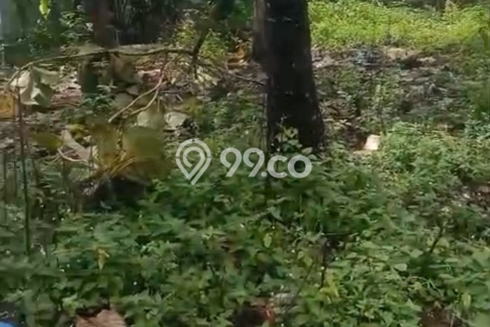 SEWA LAHAN! Tanah Kawasan Ubud, Luas 1100m², Lokasi Bisnis SEWA LAHAN! Tanah Kawasan Ubud, Luas 1100m², Lokasi Bisnis