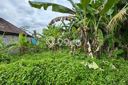 Dijual Tanah Lokasi Pejeng, Gianyar Seluas 200m2 Dijual Tanah Lokasi Pejeng, Gianyar Seluas 200m2