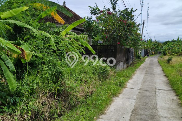 Tanah Komersial Dijual di Tabanan Tabanan 200m2 Tanah Komersial Dijual di Tabanan Tabanan 200m2