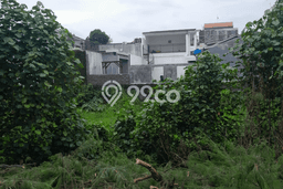 Kavling Tanah untuk Disewa di canggu Lahan Luas 500m2 Kavling Tanah untuk Disewa di canggu Lahan Luas 500m2