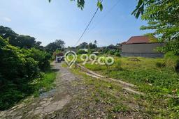 Dijual Tanah Lokasi canggu, Badung Seluas 2130m2 Dijual Tanah Lokasi canggu, Badung Seluas 2130m2