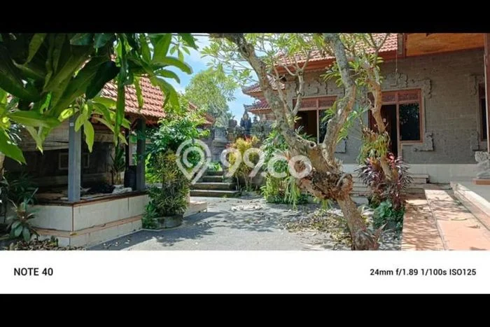 Disewakan Cepat Rumah Kondisi Bagus di Area Ubud, Gianyar Disewakan Cepat Rumah Kondisi Bagus di Area Ubud, Gianyar
