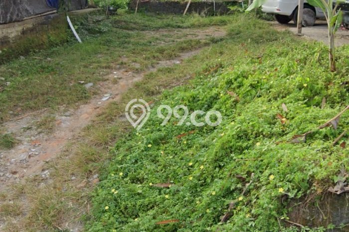 Tanah di Ubud, Luas 700m², Siap untuk Sewa Tanah di Ubud, Luas 700m², Siap untuk Sewa