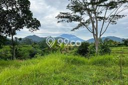 Tanah Kosong Dijual di Karangasem dengan Area 10000m2 Tanah Kosong Dijual di Karangasem dengan Area 10000m2