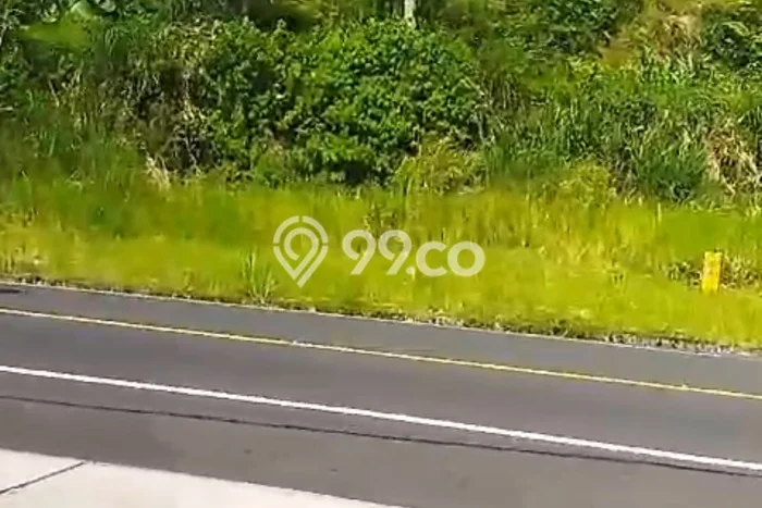 Tanah Kavling Disewakan di Bedugul dengan Luas 1000m2 Tanah Kavling Disewakan di Bedugul dengan Luas 1000m2