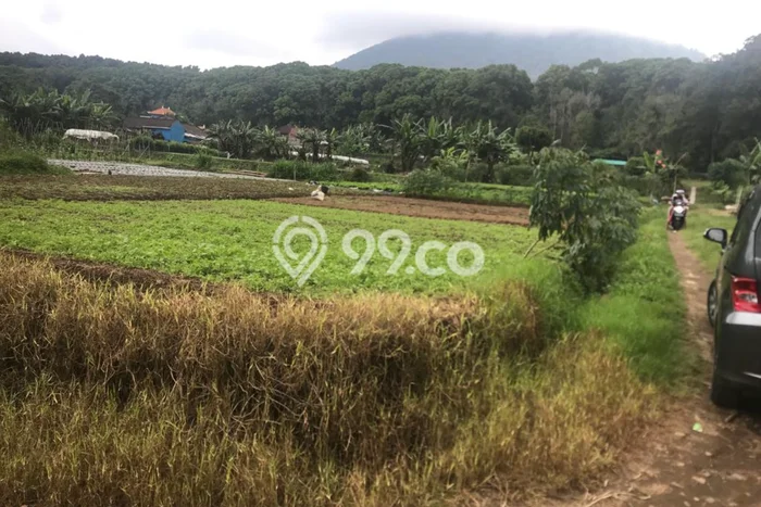 Tanah Premium di Bedugul, Luas 269m², Akses Bedugul, Tabanan, Tabanan Tanah Premium di Bedugul, Luas 269m², Akses Bedugul, Tabanan, Tabanan