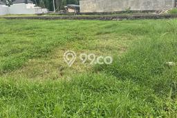 Lahan untuk Disewakan di Ubud Gianyar SHM Lahan untuk Disewakan di Ubud Gianyar SHM