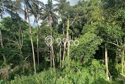 Tanah Investasi Dijual di Gianyar Punya Luas 180m2 Tanah Investasi Dijual di Gianyar Punya Luas 180m2