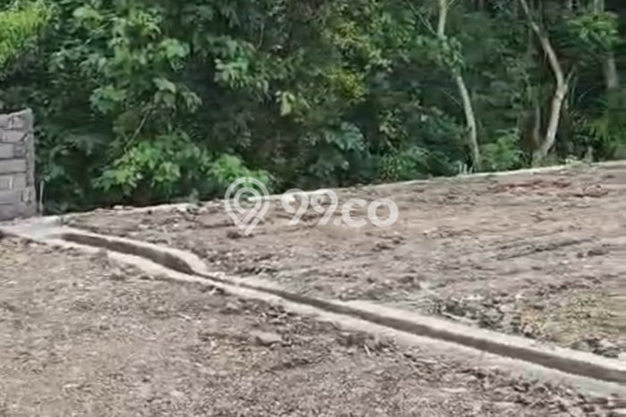 Kavling Tanah untuk Dijual di Buruan, Gianyar, Luas 200m2 Kavling Tanah untuk Dijual di Buruan, Gianyar, Luas 200m2