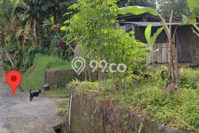 Tanah di Ubud, Luas 700m², Siap untuk Sewa Tanah di Ubud, Luas 700m², Siap untuk Sewa