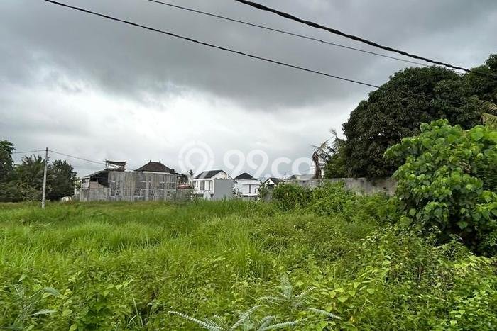 Tanah di Kedungu, Luas 498m², Area Potensial, Lingkungan Nyaman, Kontur Datar Tanah di Kedungu, Luas 498m², Area Potensial, Lingkungan Nyaman, Kontur Datar