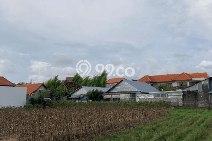 Kavling Tanah untuk Disewa di Kerobokan Lahan Luas 1160m2 Kavling Tanah untuk Disewa di Kerobokan Lahan Luas 1160m2