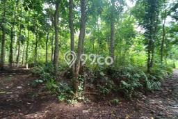 Tanah Strategis di Ababi, Luas 19000m2m², Akses Ababi, Karangasem, Karangasem Tanah Strategis di Ababi, Luas 19000m2m², Akses Ababi, Karangasem, Karangasem