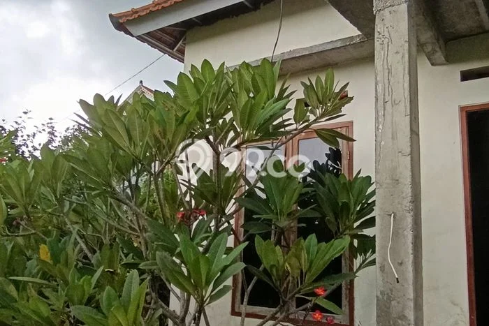 Dijual Rumah 2 Kamar Lokasi Ideal Bagus dan Strategis di Ubud Dijual Rumah 2 Kamar Lokasi Ideal Bagus dan Strategis di Ubud